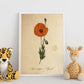 Poster de flores vintage. Lámina Papaver somniferum con diseño vintage.-Artwork-Nacnic-Nacnic Estudio SL