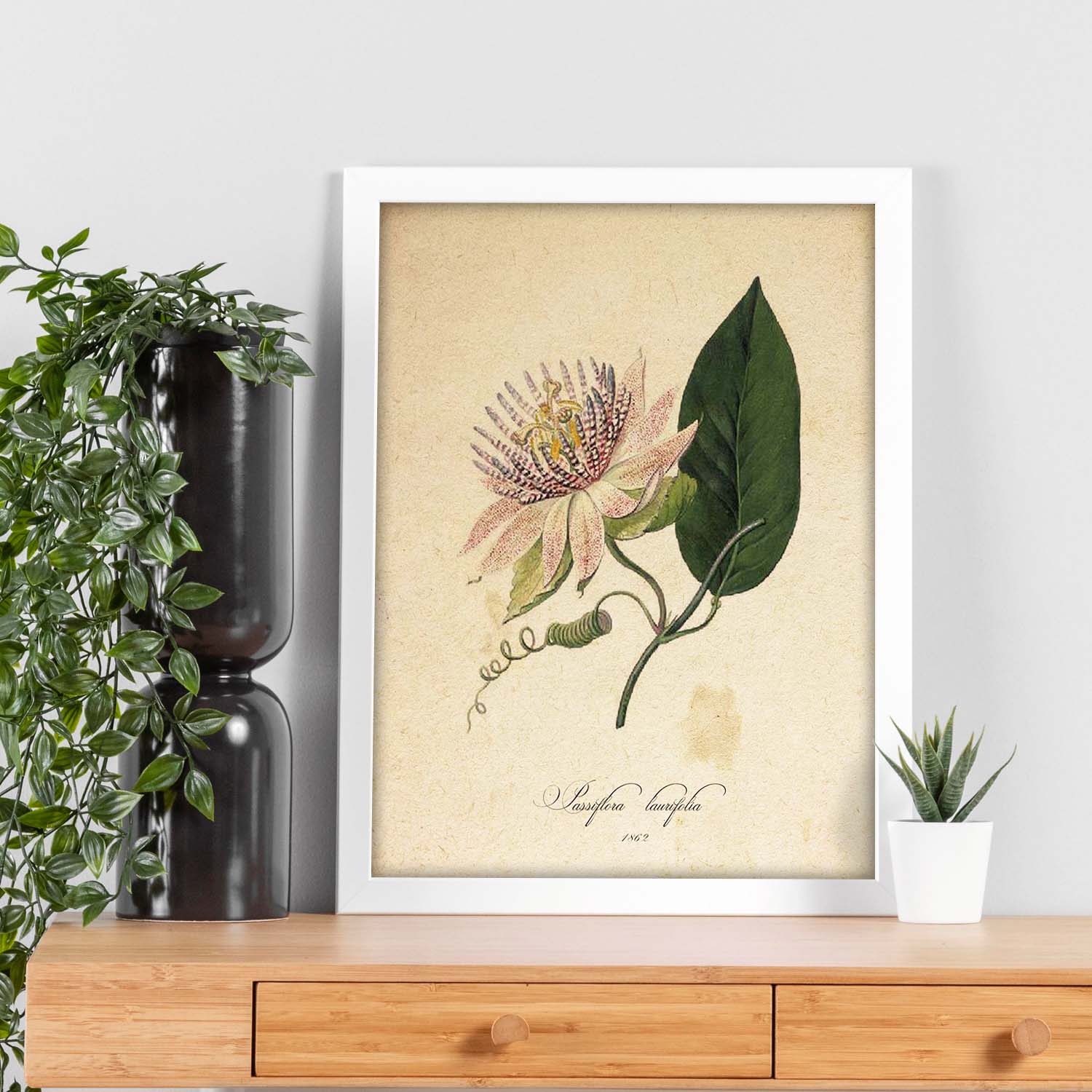 Poster de flores vintage. Lámina Passiflora con diseño vintage.-Artwork-Nacnic-Nacnic Estudio SL