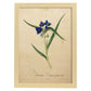 Poster de flores vintage. Lámina Tradescantia con diseño vintage.-Artwork-Nacnic-A3-Marco Madera clara-Nacnic Estudio SL