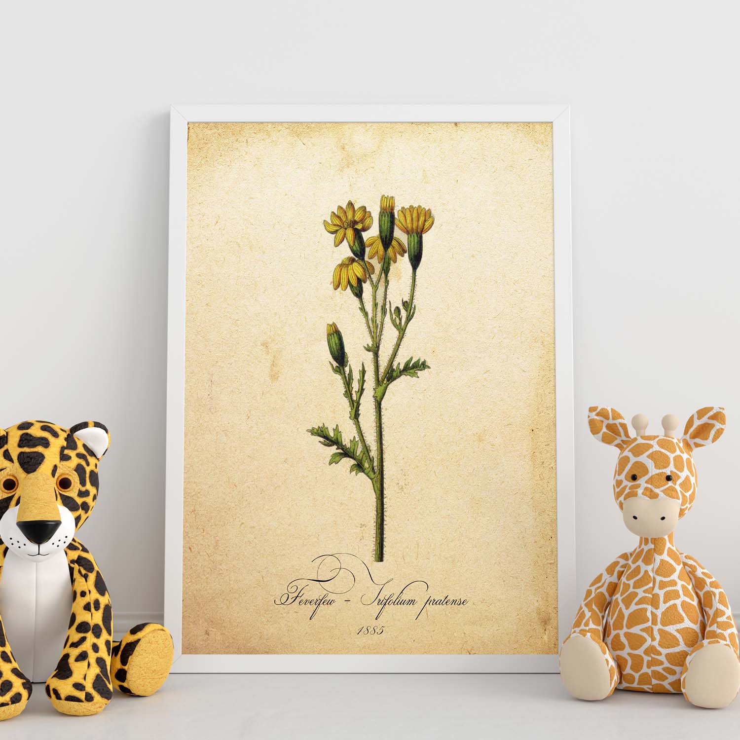 Poster de flores vintage. Lámina Trifolium pratense con diseño vintage.-Artwork-Nacnic-Nacnic Estudio SL