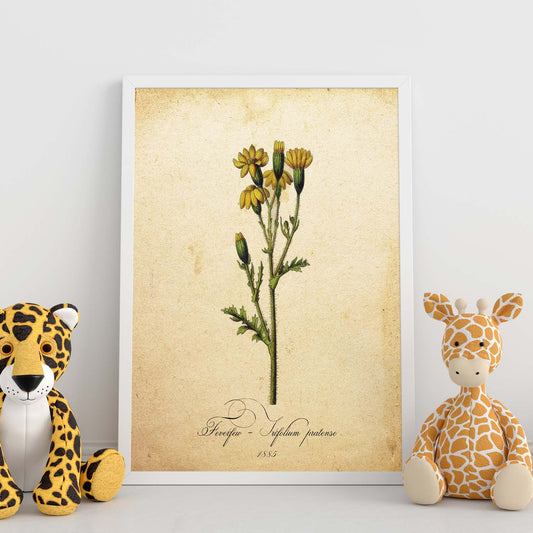 Poster de flores vintage. Lámina Trifolium pratense con diseño vintage.-Artwork-Nacnic-Nacnic Estudio SL