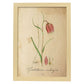 Poster de flores vintage. Lámina Troutish lilly con diseño vintage.-Artwork-Nacnic-A4-Marco Madera clara-Nacnic Estudio SL