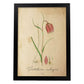 Poster de flores vintage. Lámina Troutish lilly con diseño vintage.-Artwork-Nacnic-A4-Marco Negro-Nacnic Estudio SL