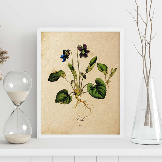 Poster de flores vintage. Lámina Viola con diseño vintage.-Artwork-Nacnic-Nacnic Estudio SL