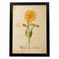 Poster de flores vintage. Lámina Wildflowers con diseño vintage.-Artwork-Nacnic-A3-Marco Negro-Nacnic Estudio SL