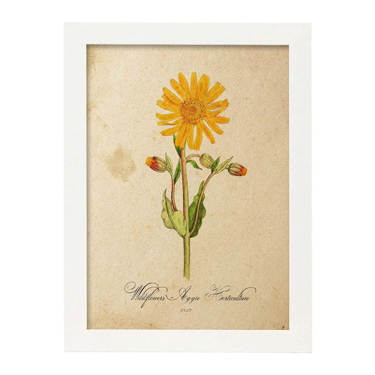 Poster de flores vintage. Lámina Wildflowers con diseño vintage.-Artwork-Nacnic-A4-Marco Blanco-Nacnic Estudio SL