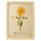 Poster de flores vintage. Lámina Wildflowers con diseño vintage.-Artwork-Nacnic-A4-Marco Madera clara-Nacnic Estudio SL