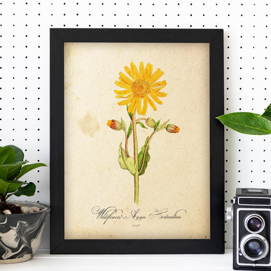 Poster de flores vintage. Lámina Wildflowers con diseño vintage.-Artwork-Nacnic-Nacnic Estudio SL