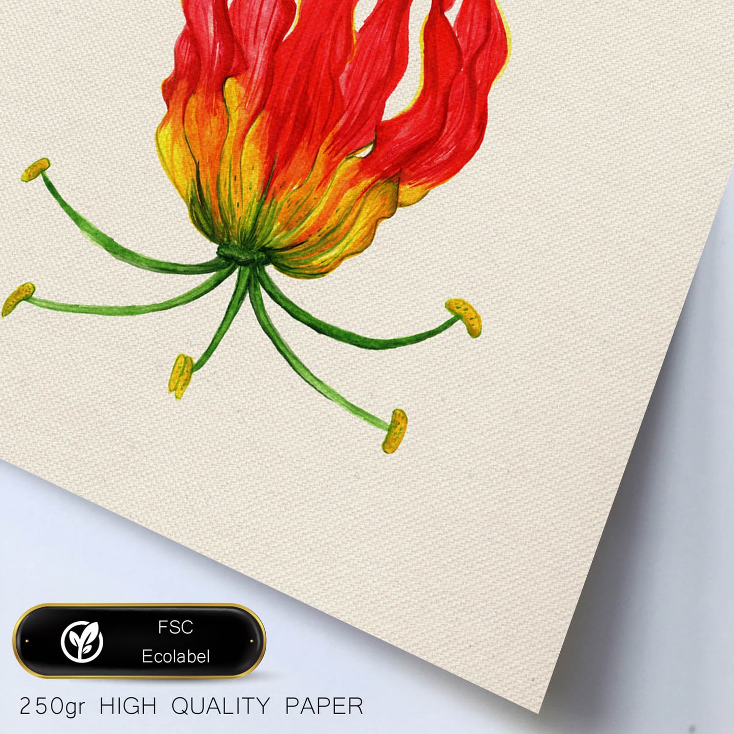 Poster de flores y naturaleza. Lámina cuadrada Flor de fuego, ilustrada con dibujos a color.-Artwork-Nacnic-Nacnic Estudio SL