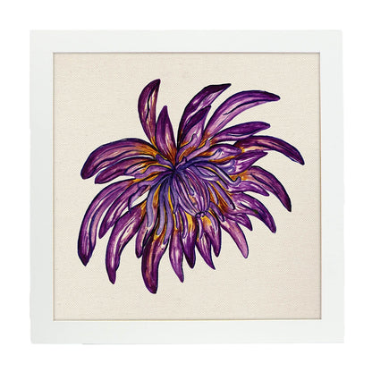 Poster de flores y naturaleza. Lámina cuadrada Flor de peineta, ilustrada con dibujos a color.-Artwork-Nacnic-20x20 cm-Marco Blanco-Nacnic Estudio SL