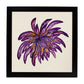 Poster de flores y naturaleza. Lámina cuadrada Flor de peineta, ilustrada con dibujos a color.-Artwork-Nacnic-25x25 cm-Marco Negro-Nacnic Estudio SL
