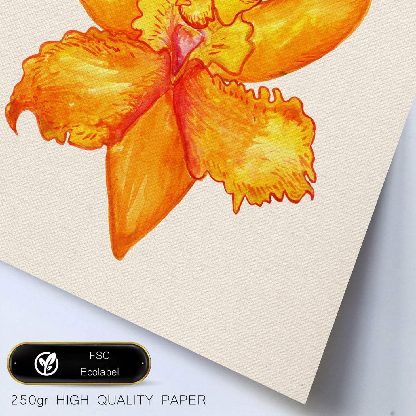 Poster de flores y naturaleza. Lámina cuadrada Naranja brillante, ilustrada con dibujos a color.-Artwork-Nacnic-Nacnic Estudio SL