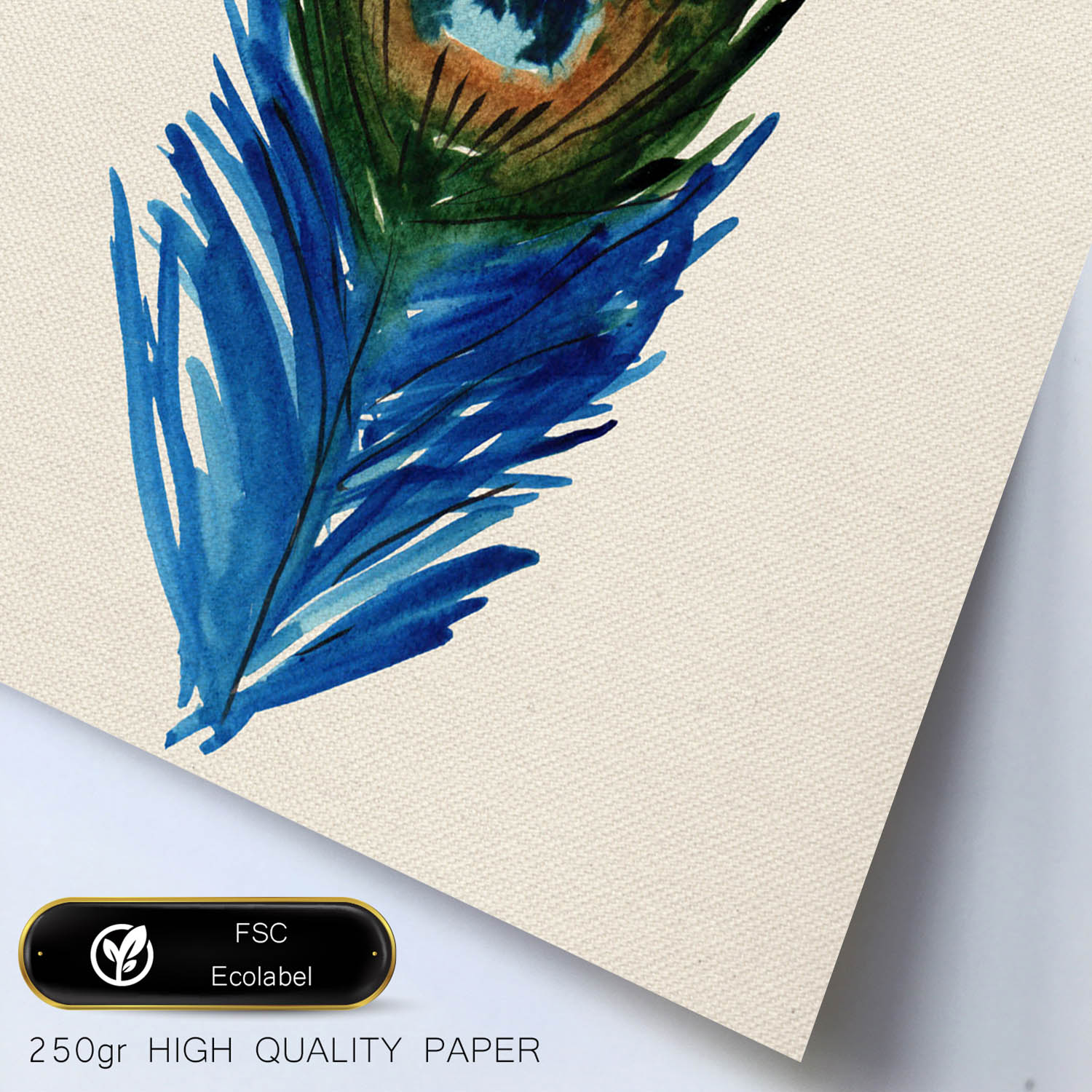 Poster de flores y naturaleza. Lámina cuadrada Ojo de pluma, ilustrada con dibujos a color.-Artwork-Nacnic-Nacnic Estudio SL