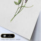 Poster de flores y plantas. Lámina con estilo óleo, con imágenes de vegetación, florales, y de plantas.-Artwork-Nacnic-Nacnic Estudio SL