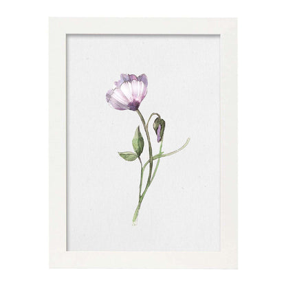 Poster de flores y plantas. Lámina con estilo óleo, con imágenes de vegetación, florales, y de plantas.-Artwork-Nacnic-A3-Marco Blanco-Nacnic Estudio SL