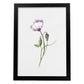 Poster de flores y plantas. Lámina con estilo óleo, con imágenes de vegetación, florales, y de plantas.-Artwork-Nacnic-A3-Marco Negro-Nacnic Estudio SL