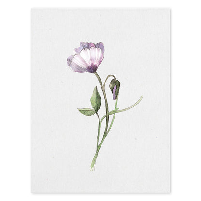Poster de flores y plantas. Lámina con estilo óleo, con imágenes de vegetación, florales, y de plantas.-Artwork-Nacnic-A4-Sin marco-Nacnic Estudio SL