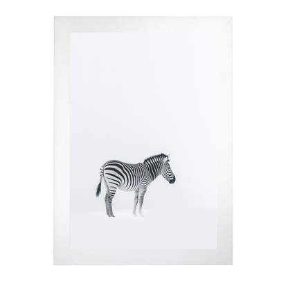 Póster Minimalista de Cebra Japonesa