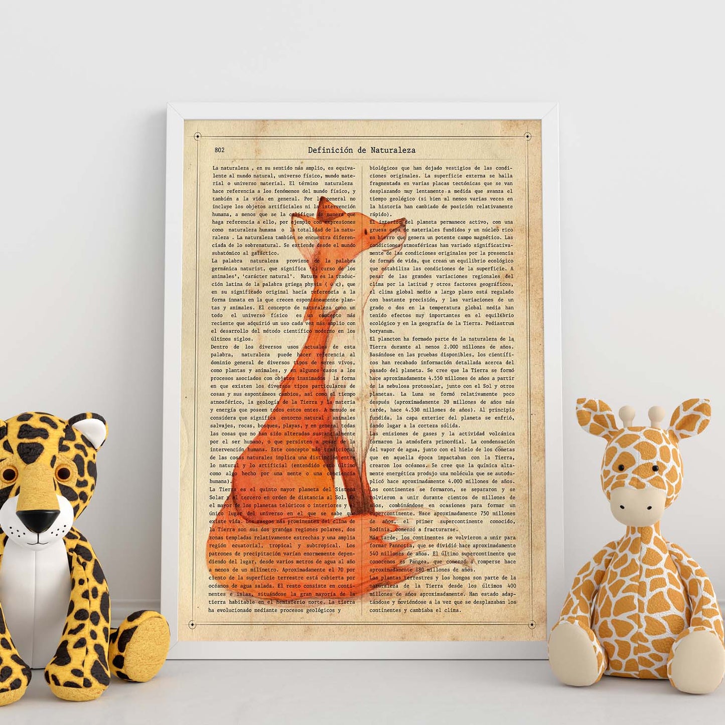 Poster de Foxy con definición. Láminas de animales con texto y definición. Diseño de interiores basado en animales.-Artwork-Nacnic-Nacnic Estudio SL