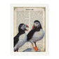 Poster de Frailecillos. Láminas de animales con definiciones. Ilustraciones de animales con textos.-Artwork-Nacnic-Nacnic Estudio SL