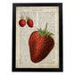 Poster de Fresas. Láminas de frutas y verduras con definiciones. Ilustraciones de alimentacion vegetariana.-Artwork-Nacnic-A4-Marco Negro-Nacnic Estudio SL