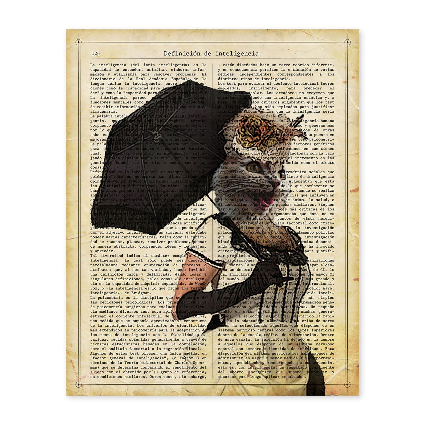 Poster de Gato con sombrilla. Láminas de animales con definiciones. Ilustraciones de animales con textos.-Artwork-Nacnic-A4-Sin marco-Nacnic Estudio SL
