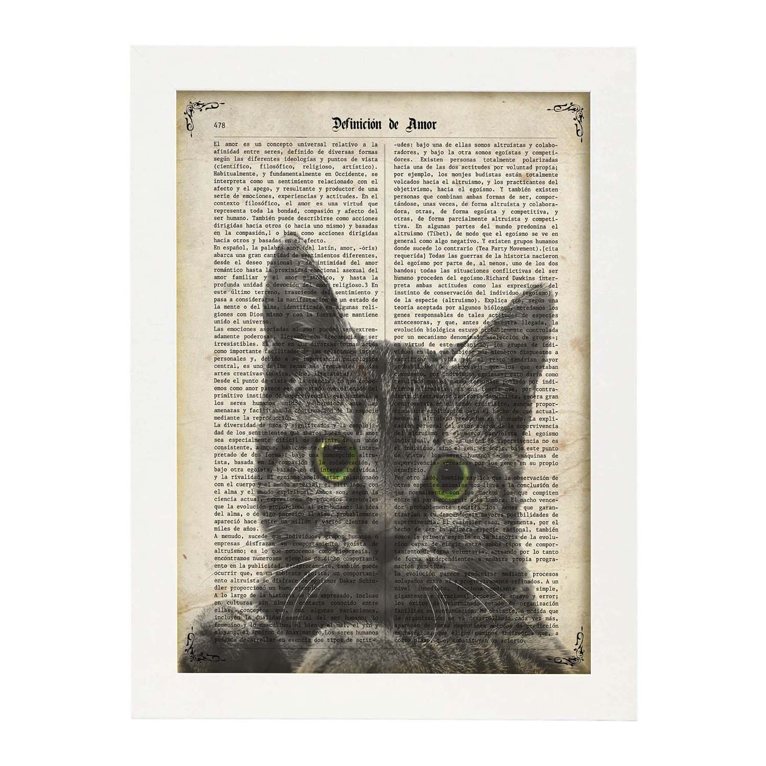 Poster de Gato de ojos verdes. Láminas de animales con definiciones. Ilustraciones de animales con textos.-Artwork-Nacnic-A3-Marco Blanco-Nacnic Estudio SL