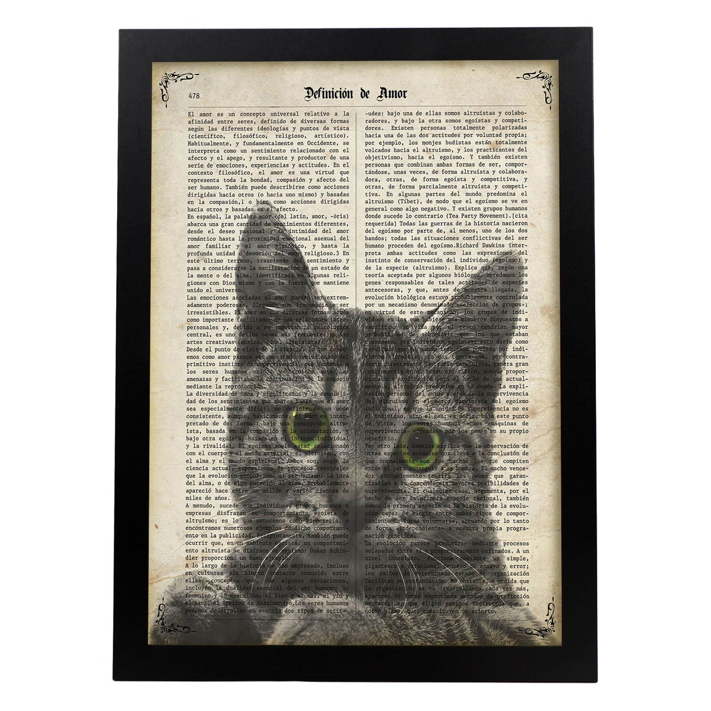 Poster de Gato de ojos verdes. Láminas de animales con definiciones. Ilustraciones de animales con textos.-Artwork-Nacnic-A3-Marco Negro-Nacnic Estudio SL
