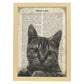 Poster de Gato de ojos verdes. Láminas de animales con definiciones. Ilustraciones de animales con textos.-Artwork-Nacnic-A4-Marco Madera clara-Nacnic Estudio SL