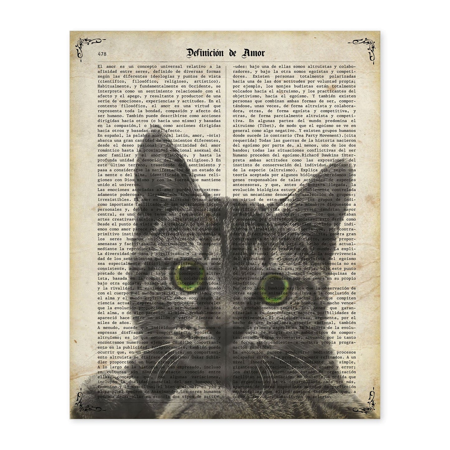 Poster de Gato de ojos verdes. Láminas de animales con definiciones. Ilustraciones de animales con textos.-Artwork-Nacnic-A4-Sin marco-Nacnic Estudio SL