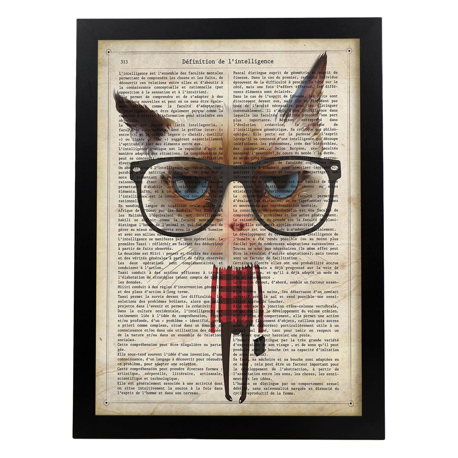 Poster de Gato hipster. Láminas de animales con definiciones. Ilustraciones de animales con textos.-Artwork-Nacnic-A3-Marco Negro-Nacnic Estudio SL