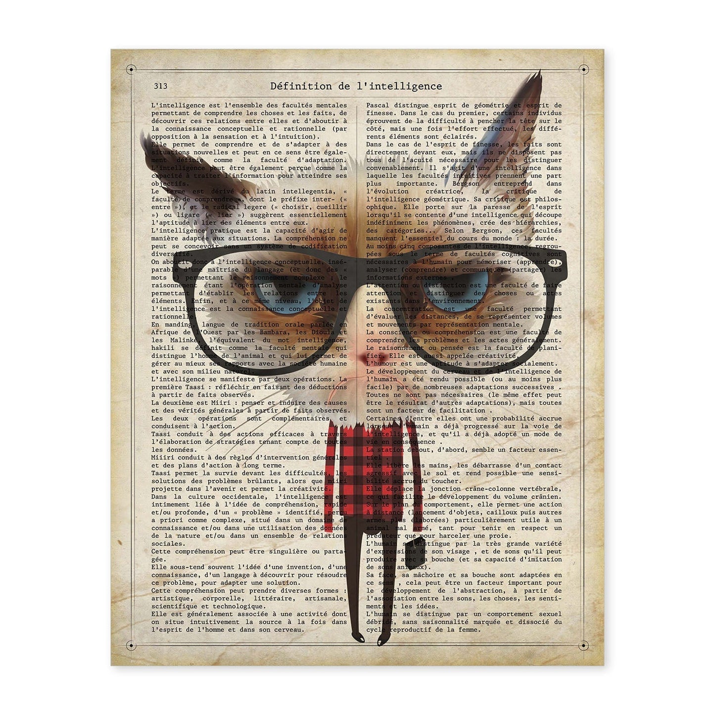 Poster de Gato hipster. Láminas de animales con definiciones. Ilustraciones de animales con textos.-Artwork-Nacnic-A4-Sin marco-Nacnic Estudio SL