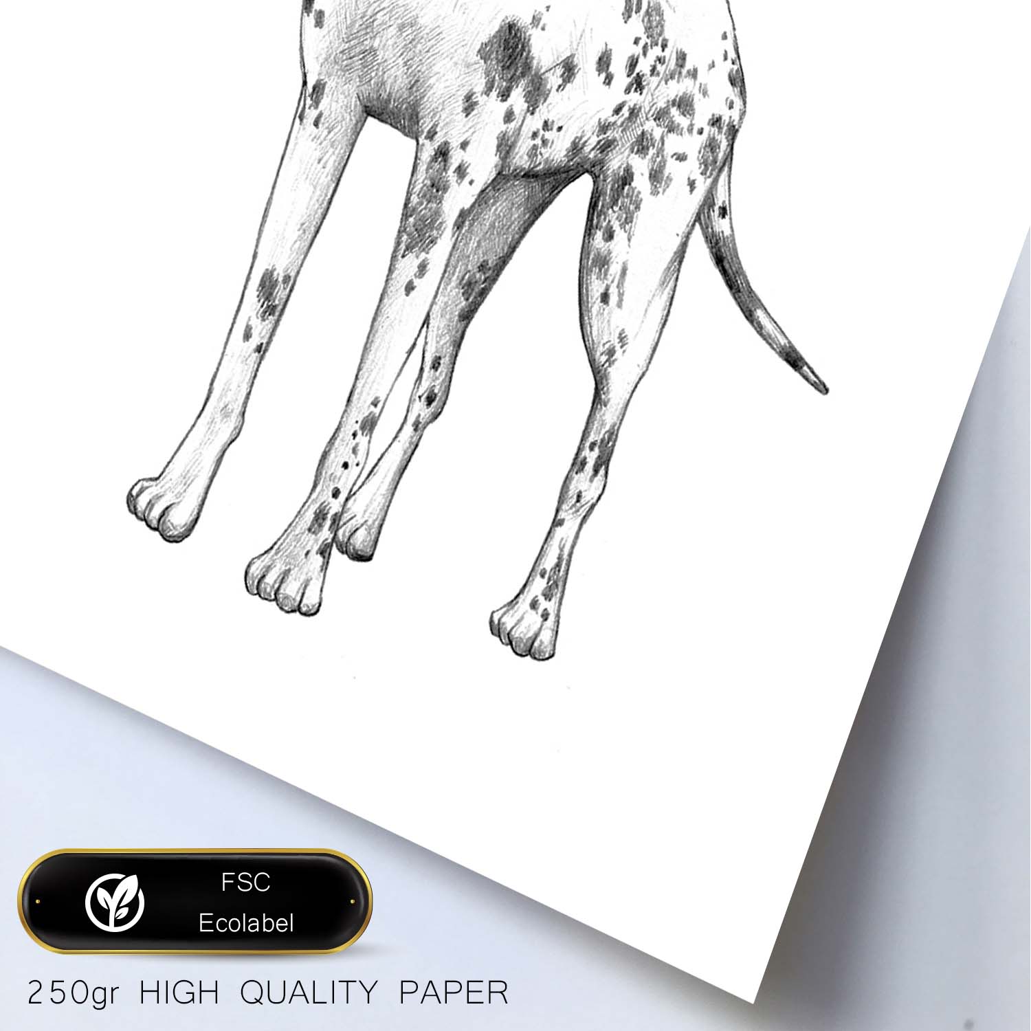 Poster de Gran danes blanco. Lámina decorativa de perros.-Artwork-Nacnic-Nacnic Estudio SL