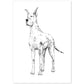 Poster de Gran danes blanco. Lámina decorativa de perros.-Artwork-Nacnic-A4-Sin marco-Nacnic Estudio SL