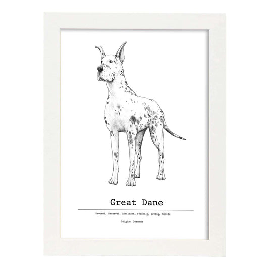 Poster de Gran danes texto. Lámina decorativa de perros.-Artwork-Nacnic-A4-Marco Blanco-Nacnic Estudio SL