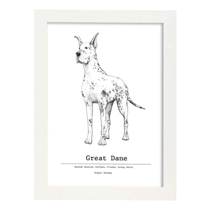 Poster de Gran danes texto. Lámina decorativa de perros.-Artwork-Nacnic-A4-Marco Blanco-Nacnic Estudio SL