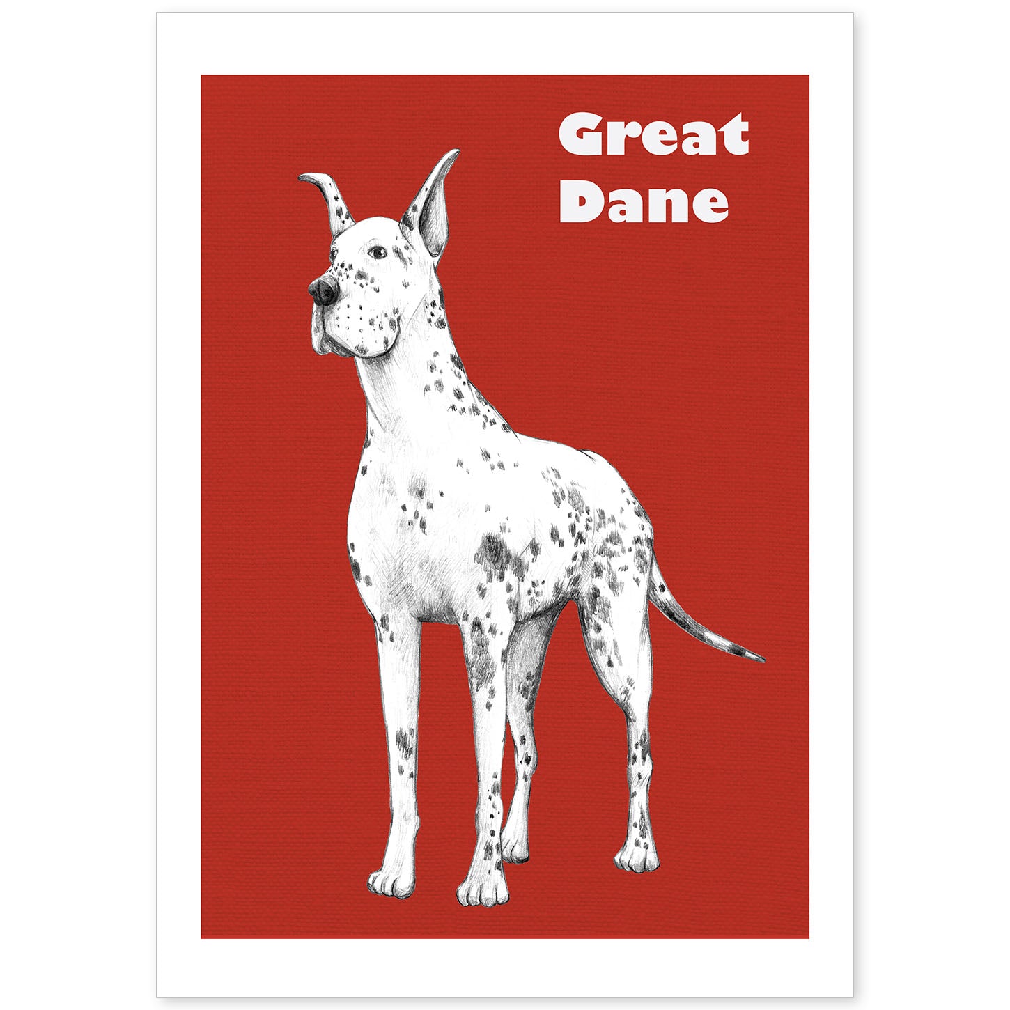 Poster de Gran danes. Lámina decorativa de perros.-Artwork-Nacnic-A4-Sin marco-Nacnic Estudio SL