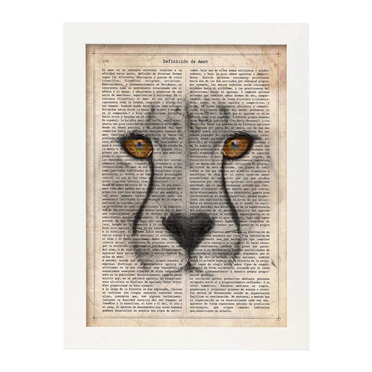 Poster de Guepardo. Láminas de animales con definiciones. Ilustraciones de animales con textos.-Artwork-Nacnic-Nacnic Estudio SL