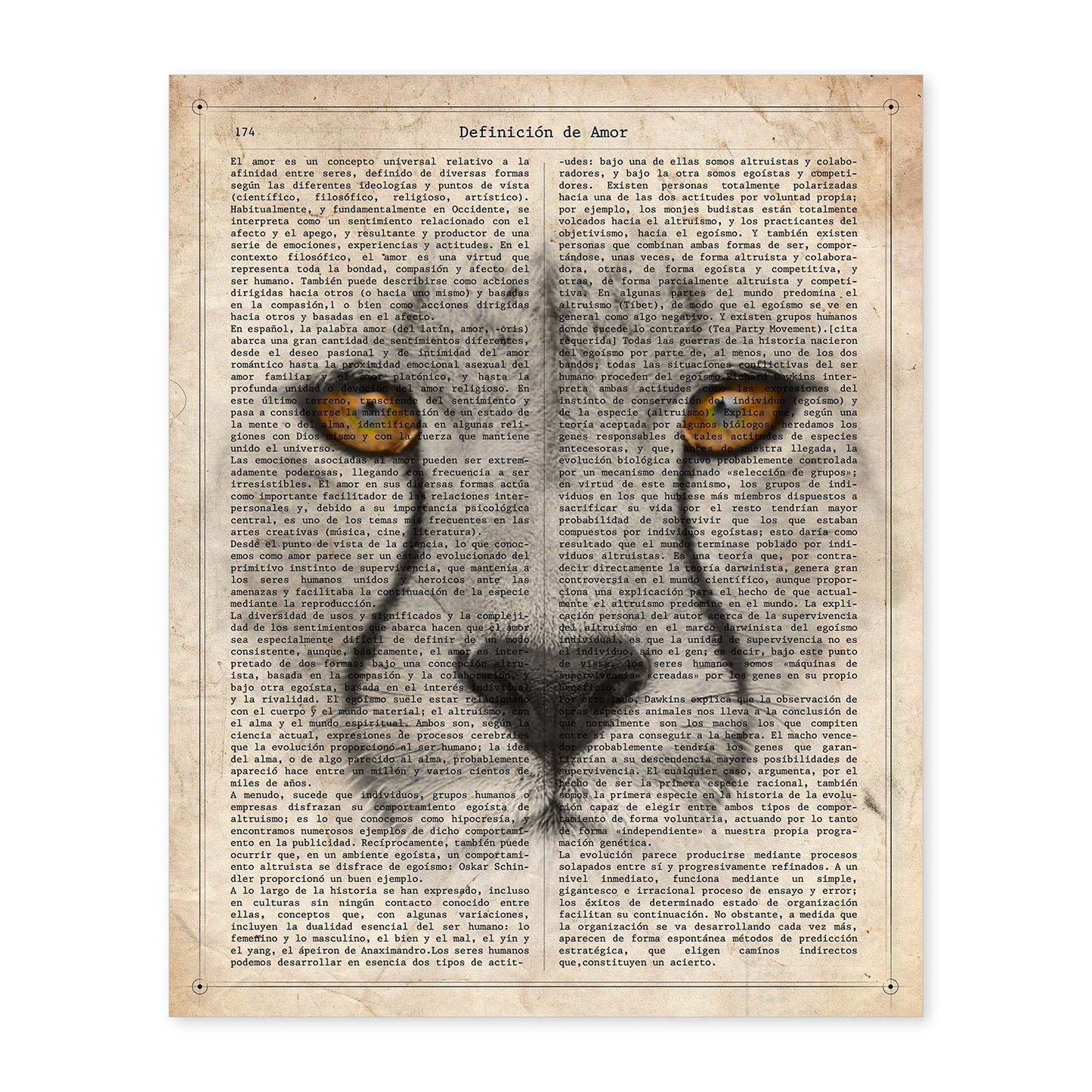 Poster de Guepardo. Láminas de animales con definiciones. Ilustraciones de animales con textos.-Artwork-Nacnic-A4-Sin marco-Nacnic Estudio SL