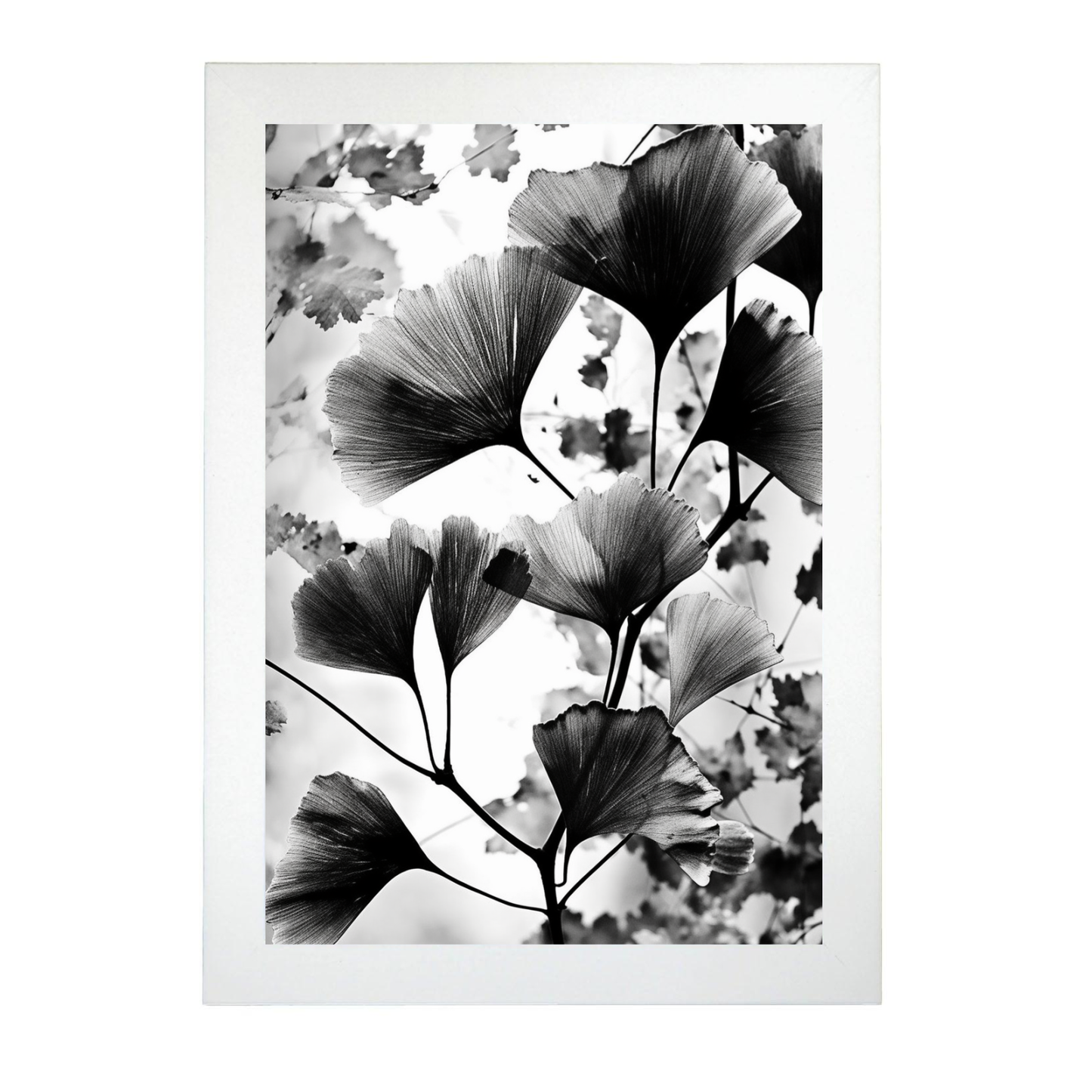 Lámina de Gingko Biloba Vintage en Negro