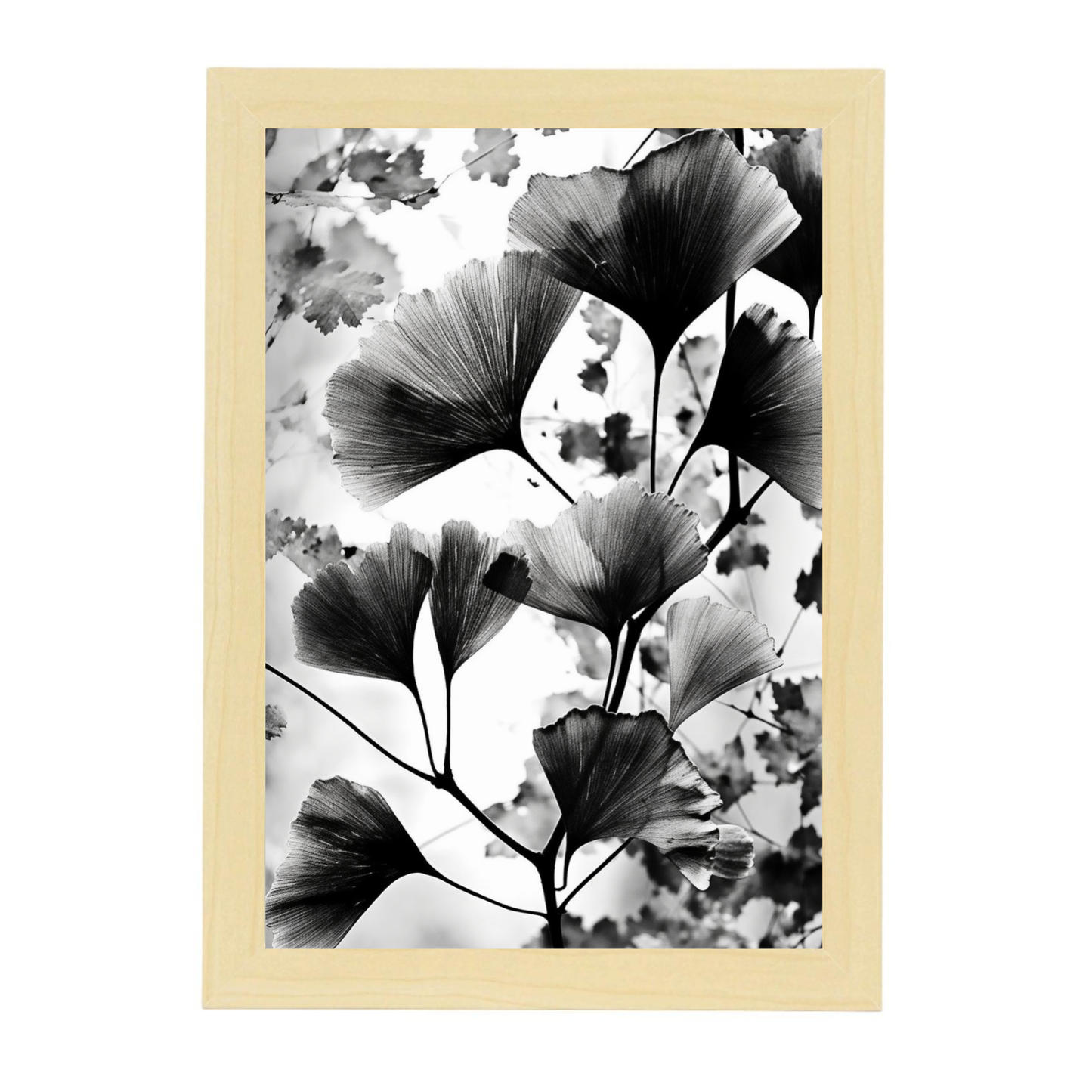 Lámina de Gingko Biloba Vintage en Negro