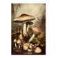 Póster Vintage de Hongos Antiguos en el Bosque
