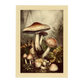 Póster Vintage de Hongos Antiguos en el Bosque
