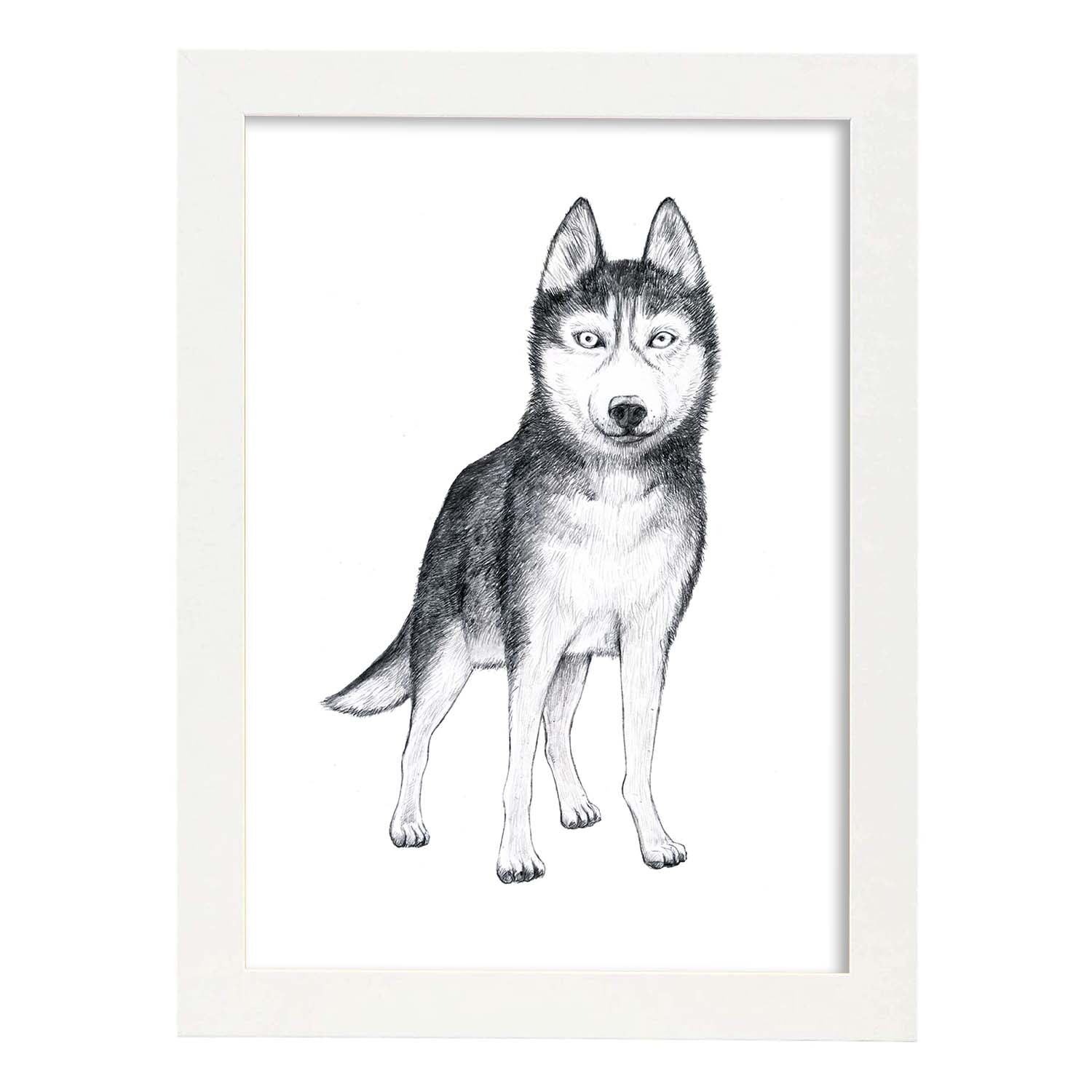 Poster de Husky. Lámina decorativa de perros.-Artwork-Nacnic-A3-Marco Blanco-Nacnic Estudio SL