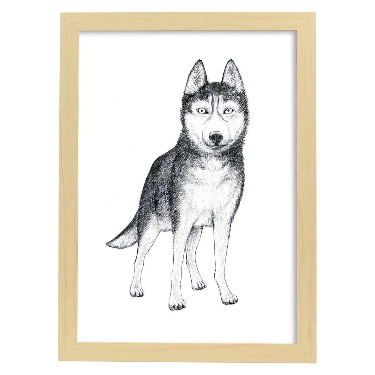 Poster de Husky. Lámina decorativa de perros.-Artwork-Nacnic-A3-Marco Madera clara-Nacnic Estudio SL