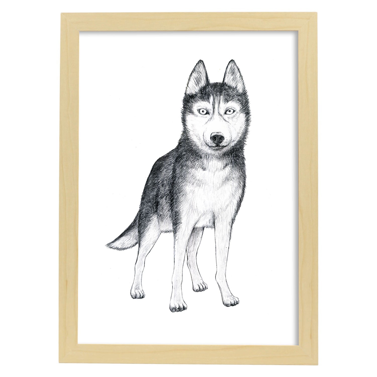 Poster de Husky. Lámina decorativa de perros.-Artwork-Nacnic-A4-Marco Madera clara-Nacnic Estudio SL