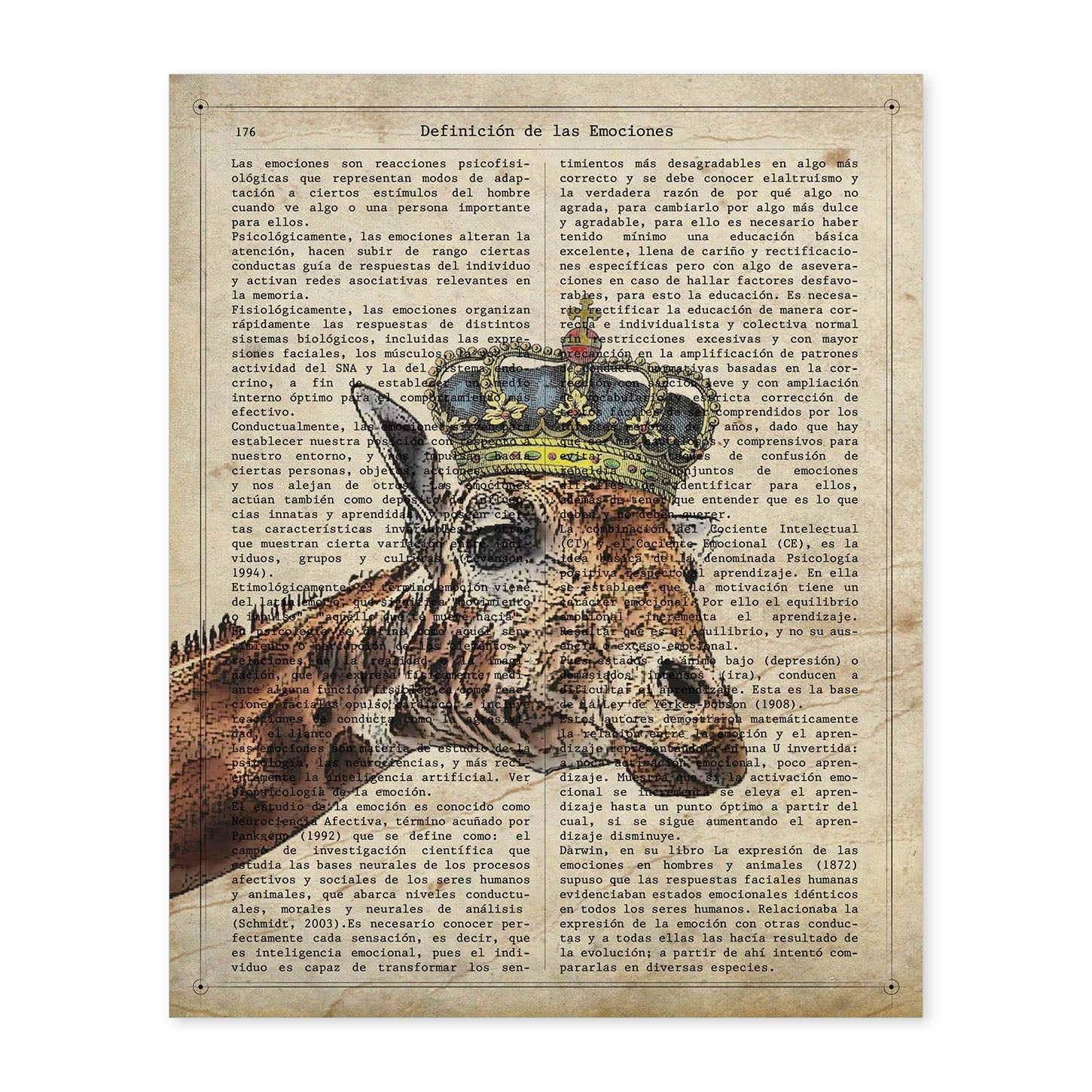 Poster de Jirafa reina. Láminas de animales con definiciones. Ilustraciones de animales con textos.-Artwork-Nacnic-A4-Sin marco-Nacnic Estudio SL