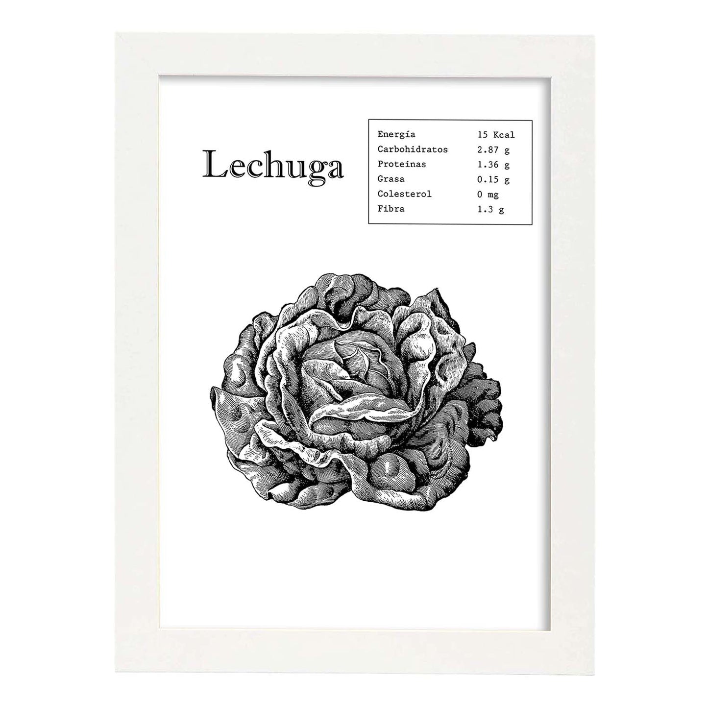 Poster de Lechuga. Láminas de frutas y verduras.-Artwork-Nacnic-A3-Marco Blanco-Nacnic Estudio SL