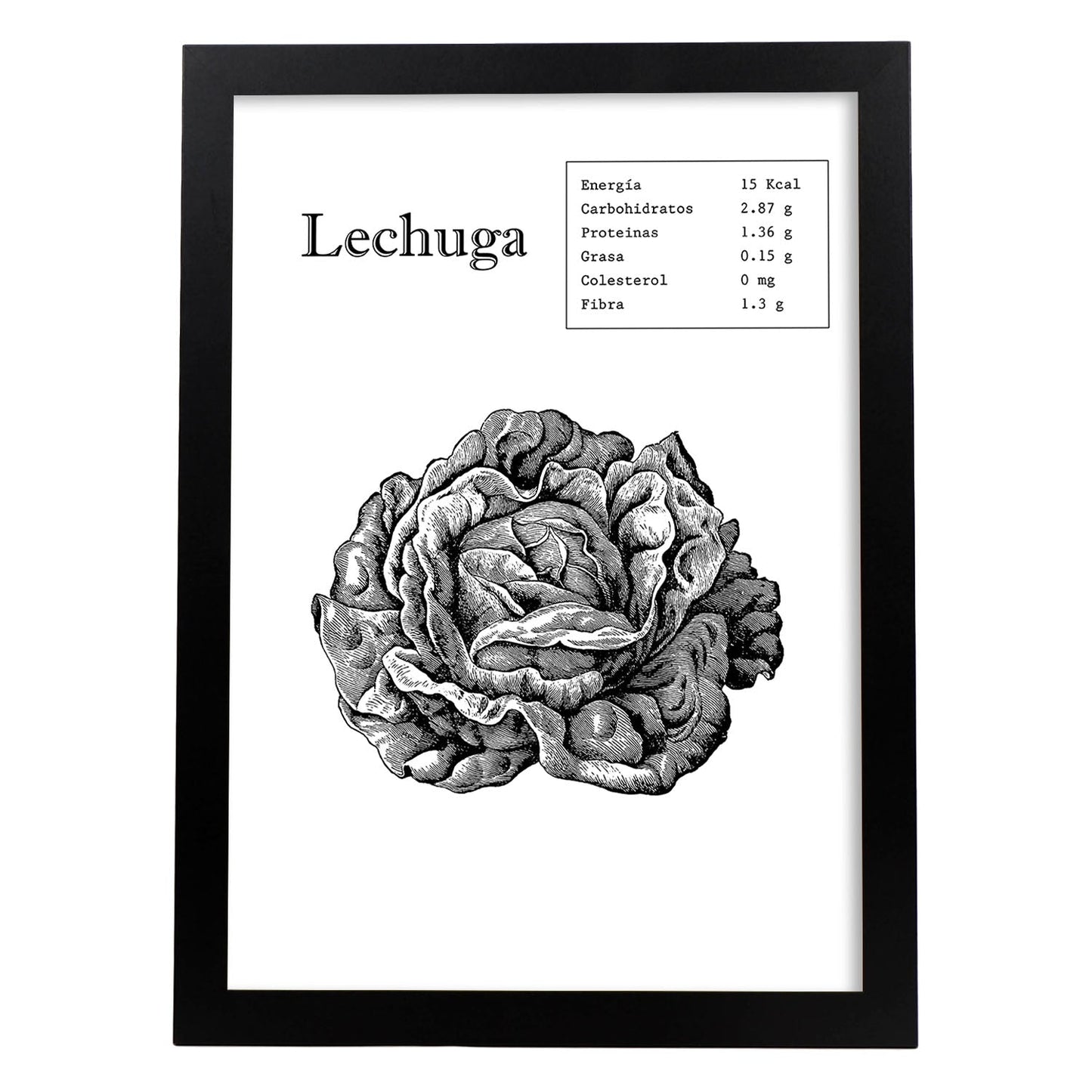 Poster de Lechuga. Láminas de frutas y verduras.-Artwork-Nacnic-A3-Marco Negro-Nacnic Estudio SL