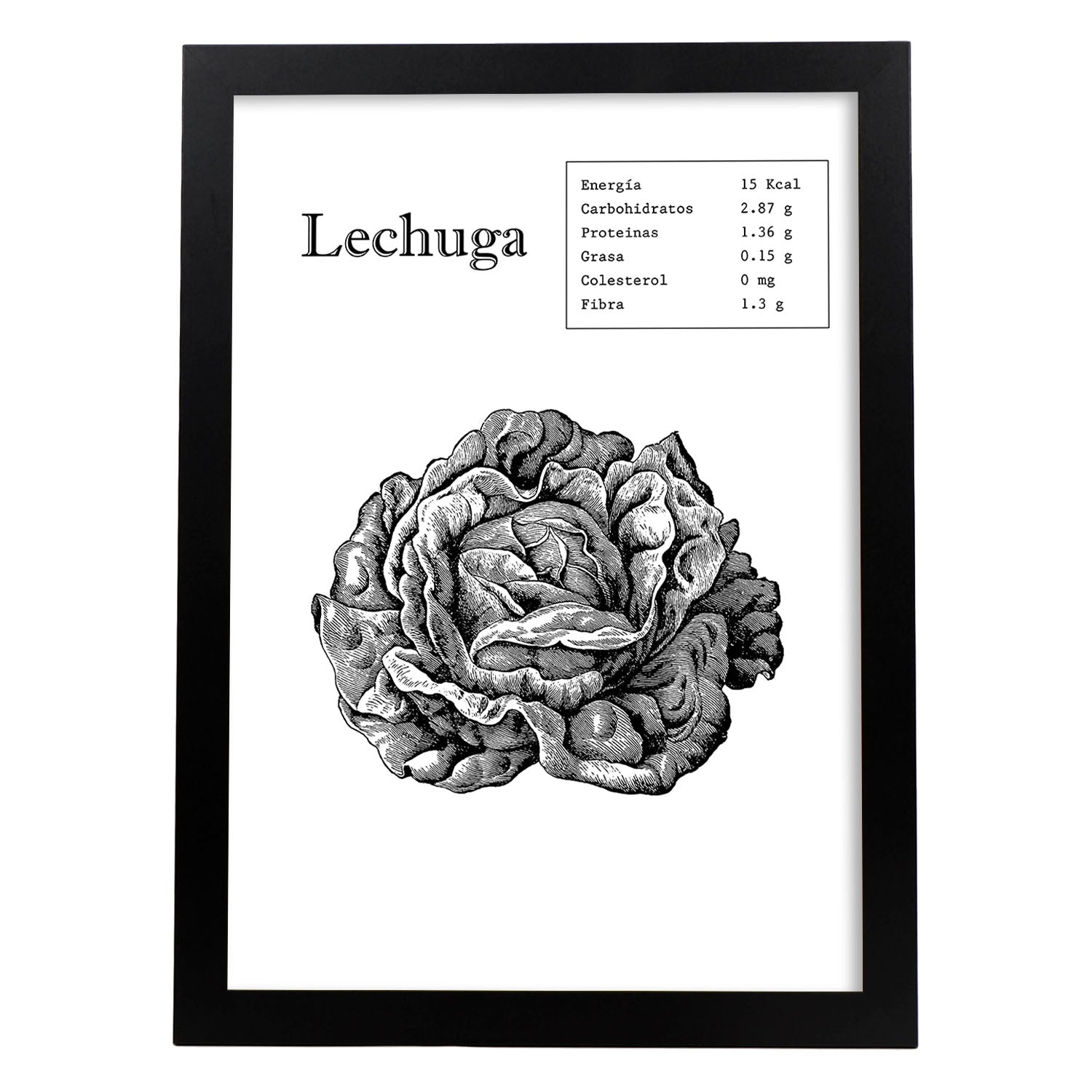 Poster de Lechuga. Láminas de frutas y verduras.-Artwork-Nacnic-A3-Marco Negro-Nacnic Estudio SL